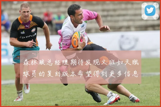 森林狼总经理期待发现文班如天赋球员的复刻版本希望得到更多信息