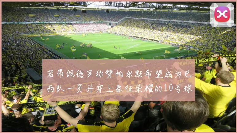 若昂佩德罗称赞帕尔默希望成为巴西队一员并穿上象征荣耀的10号球衣